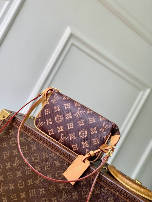 LOUIS VUITTON Pochette Accessoires