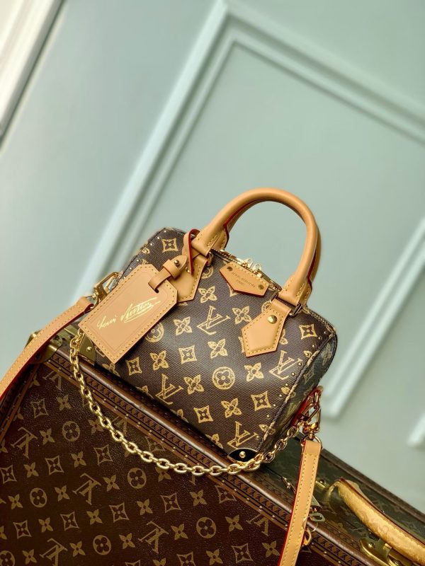 LOUIS VUITTON SPEEDY TRUNK 20
